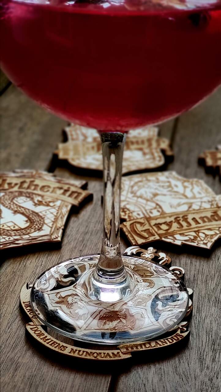 Set of 5 Harry Potter coasters - perfect gift for Potterheads